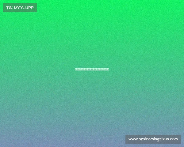 网球比赛球童安排策略与实施细则分析及优化建议 网球比赛球童安排策略与实施细则分析及优化建议