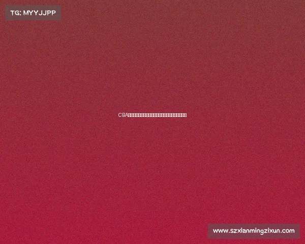 CBA商业运营模式创新与发展趋势分析及其市场潜力挖掘 CBA商业运营模式创新与发展趋势分析及其市场潜力挖掘