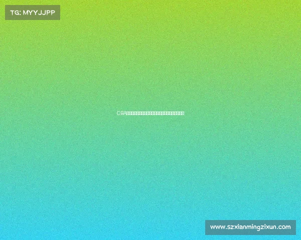 CBA商业运营模式创新与发展趋势分析及其市场潜力挖掘 CBA商业运营模式创新与发展趋势分析及其市场潜力挖掘