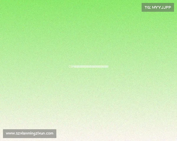 CBA商业运营模式创新与发展趋势分析及其市场潜力挖掘 CBA商业运营模式创新与发展趋势分析及其市场潜力挖掘